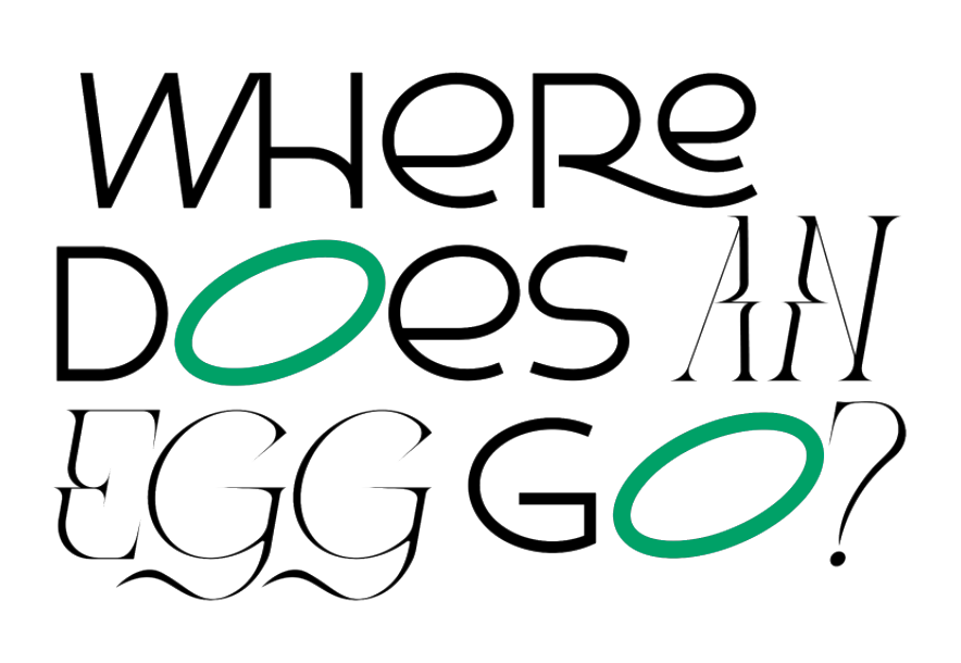 Where does an egg go?